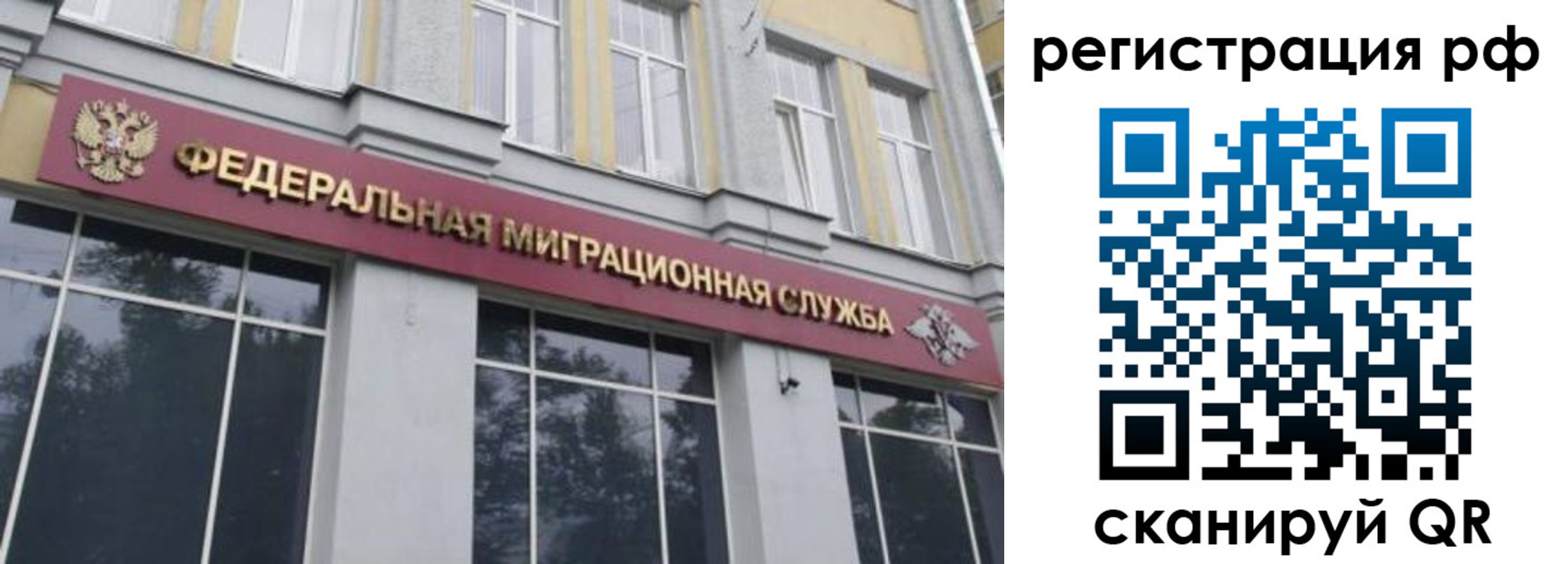 временная регистрация 2025 в Полярных Зорях